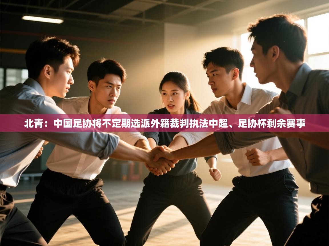 北青：中国足协将不定期选派外籍裁判执法中超、足协杯剩余赛事