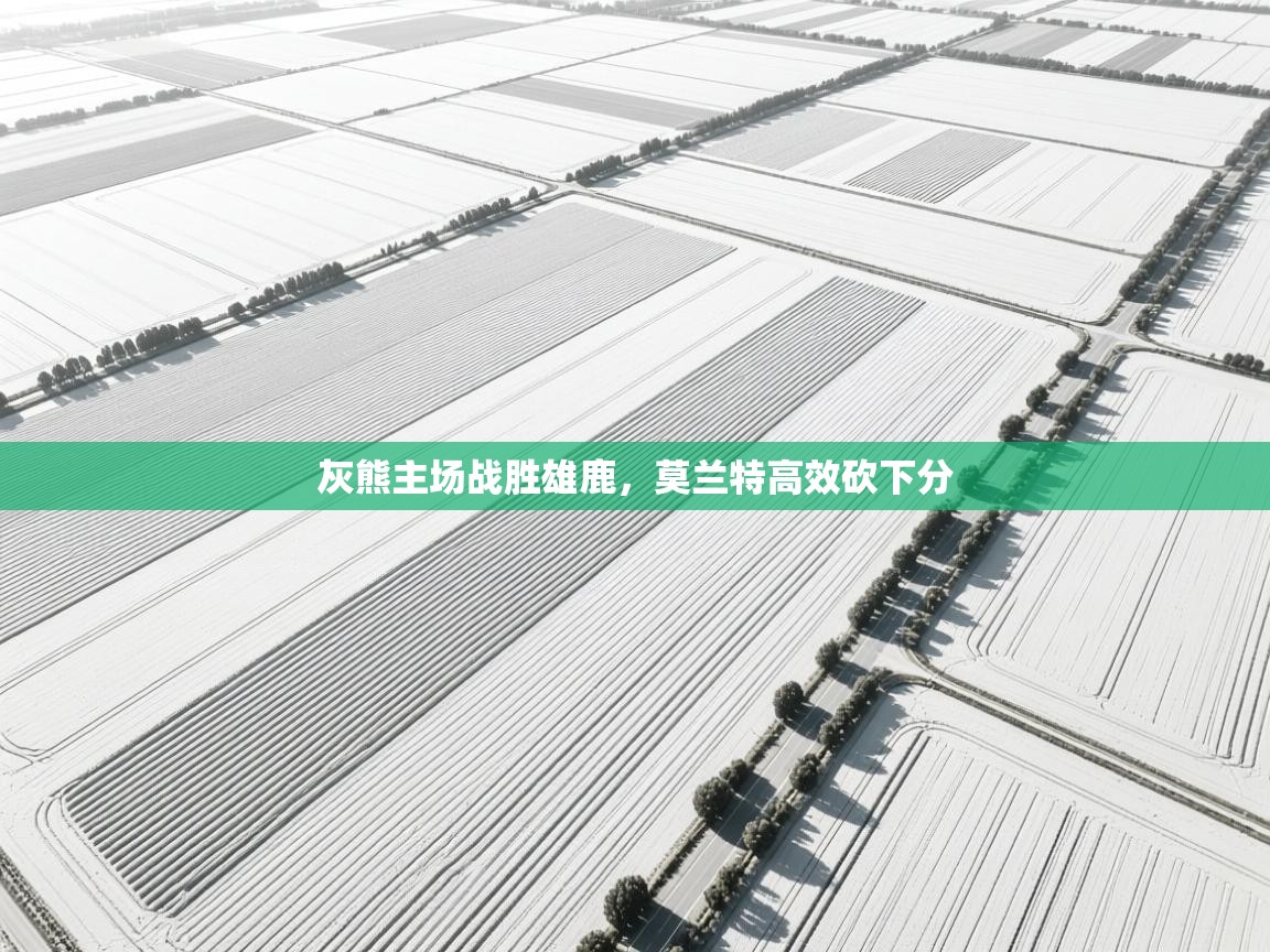 灰熊主场战胜雄鹿，莫兰特高效砍下分