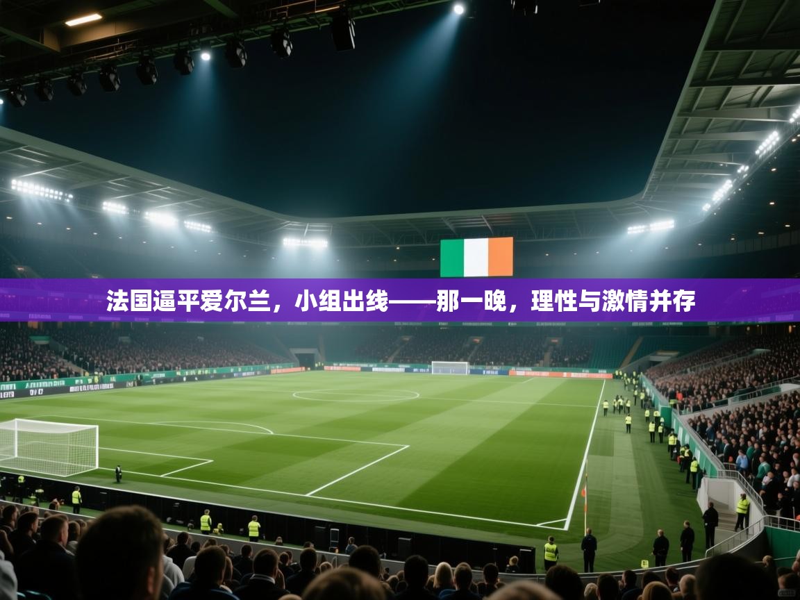 法国逼平爱尔兰，小组出线——那一晚，理性与激情并存