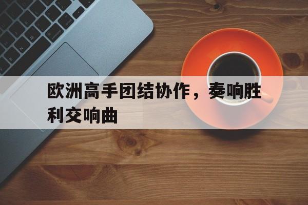 爱游戏中国官网-欧洲高手团结协作，奏响胜利交响曲