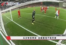 爱游戏体育官网入口-托尔当客场失利，出线形势雪上加霜