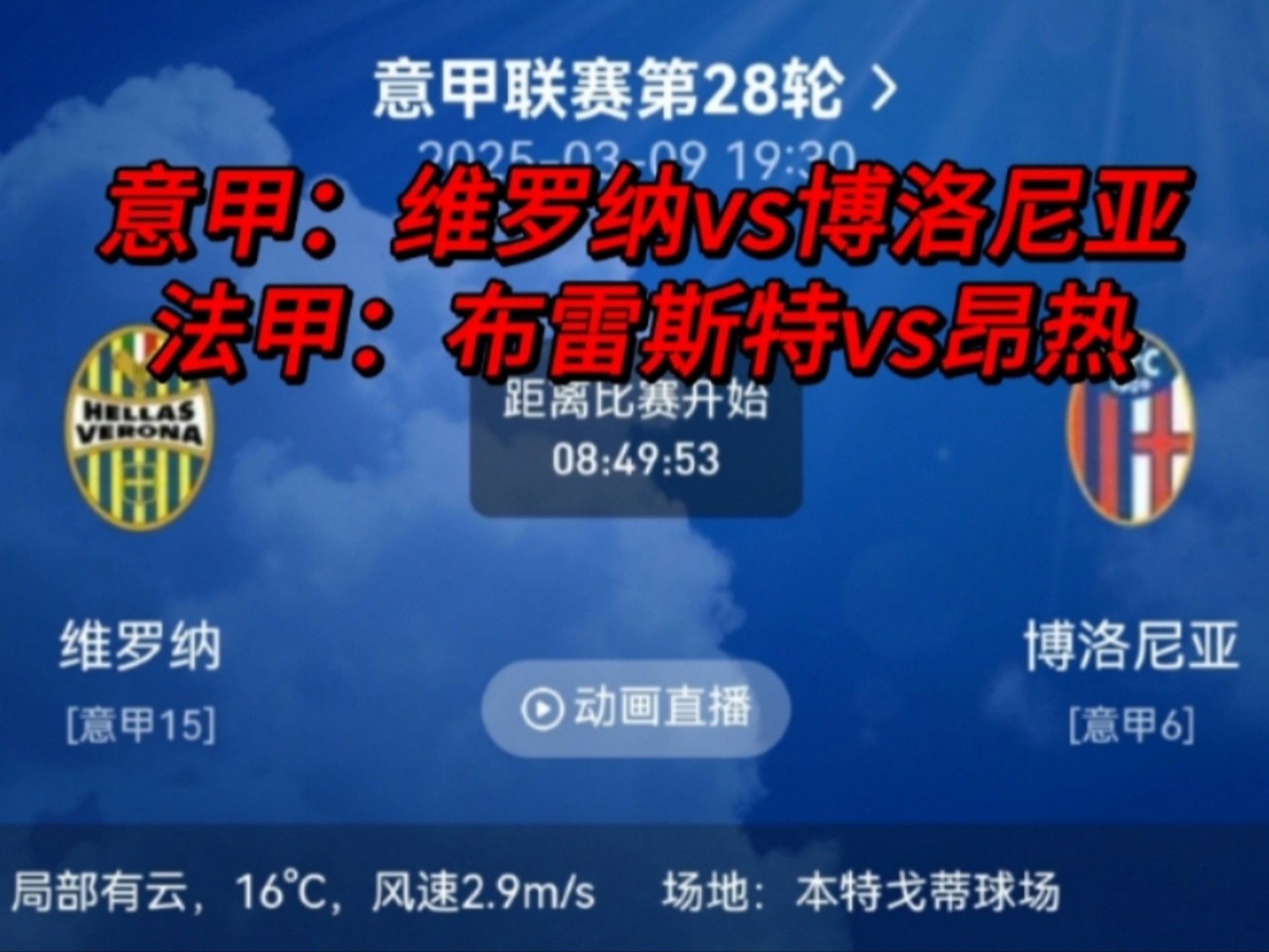 爱游戏体育在线-比利时主教练备战布罗克，对阵斯洛文尼亚